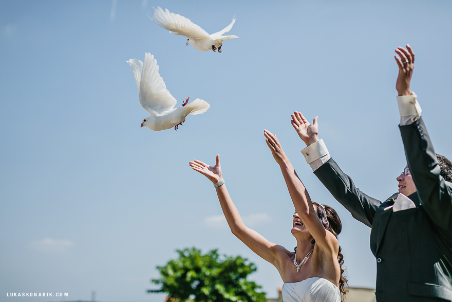 svatební holubi ve Vinařství u Kapličky